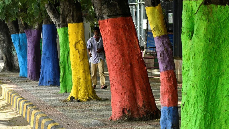 Tree Paint